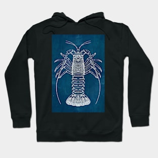 Lobster Blueprint Hoodie